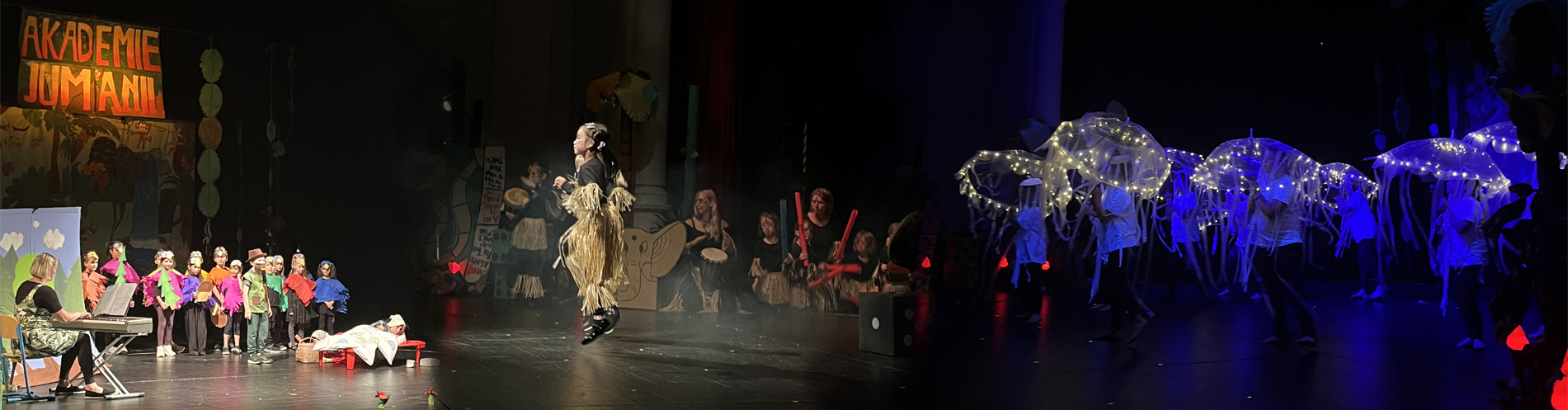 Informatika / Jazyky / Volba programu