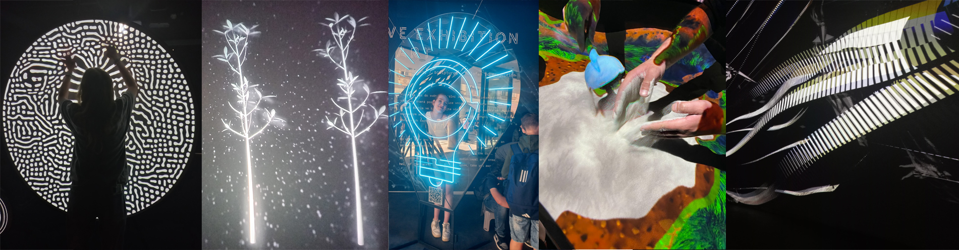 Informatika / Jazyky / Volba programu